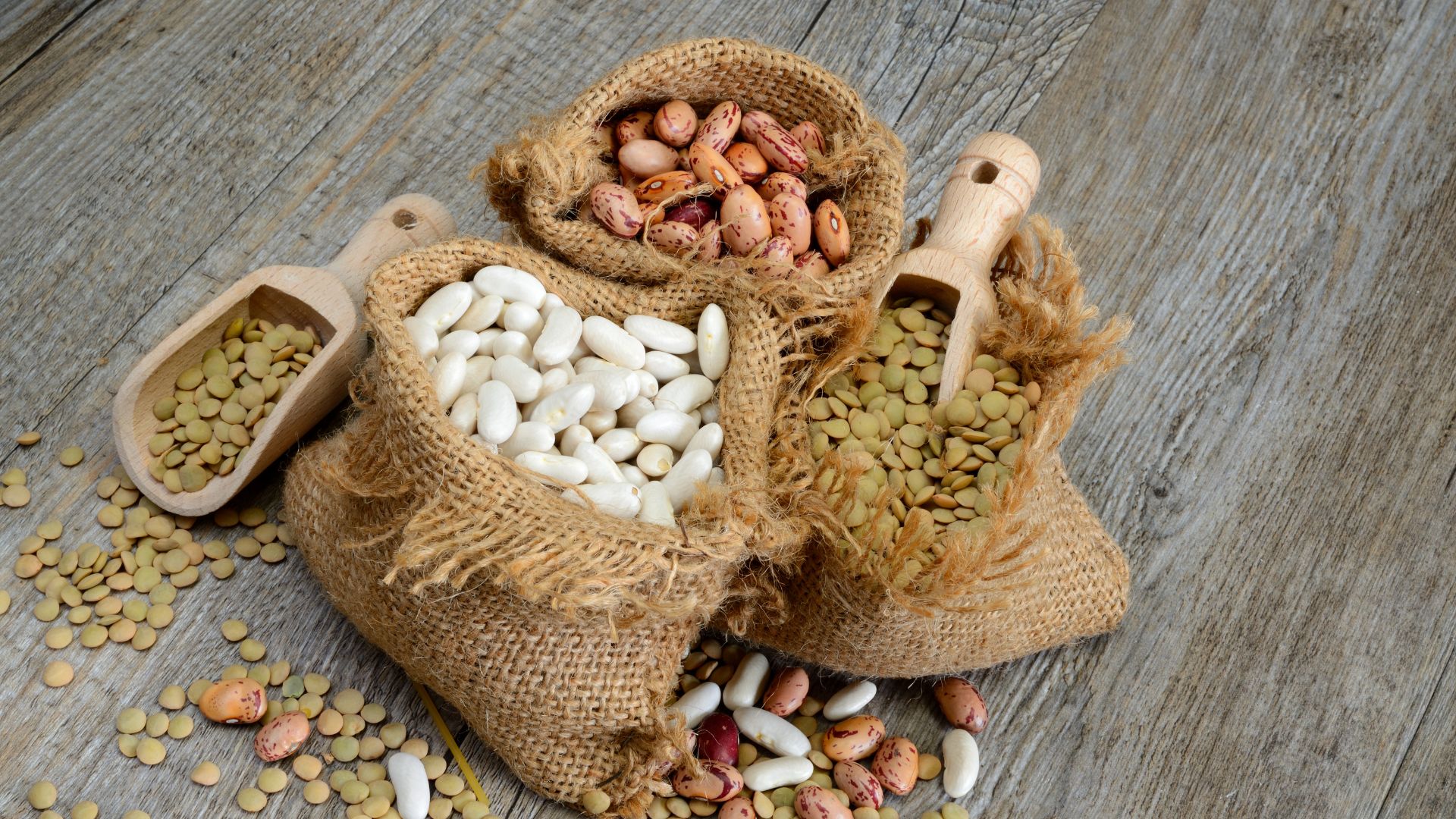 5-plant-based-protein-sources-for-vegans